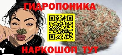 ГАЛЛЮЦИНОГЕННЫЕ ГРИБЫ Лесосибирск