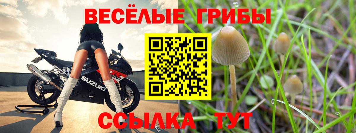 Галлюциногенные грибы Psilocybe  Вход с VPN  купить наркотик  Псилоцибиновые грибы Cubensis  Химки 